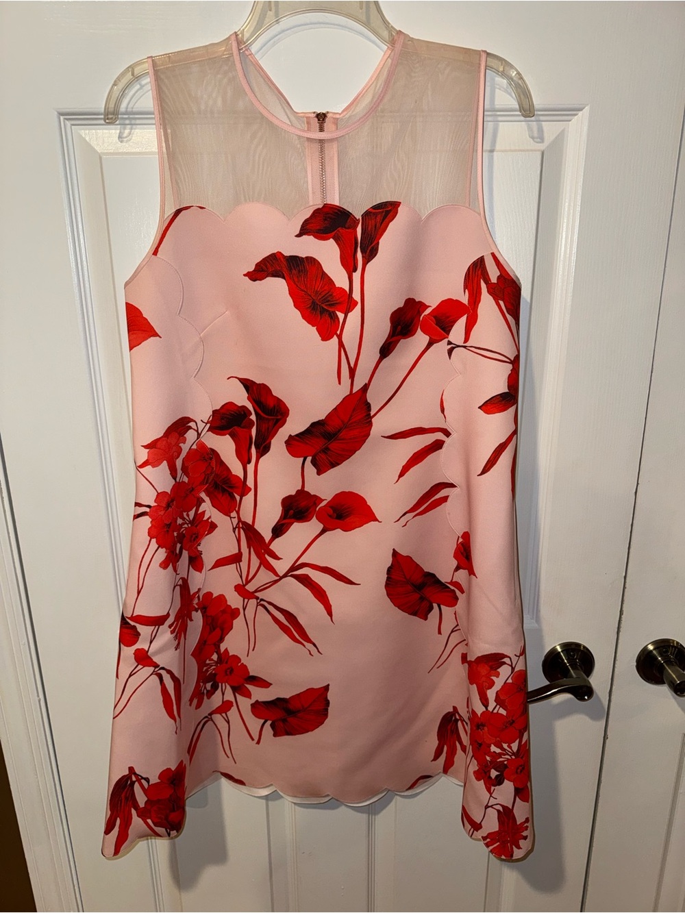 Ted Baker Pink Dress with Red Floral Print